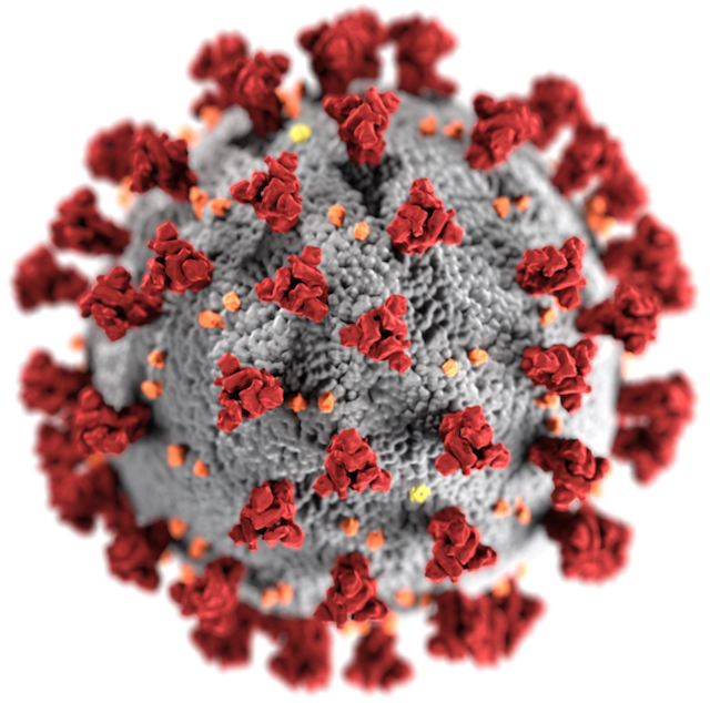 virus